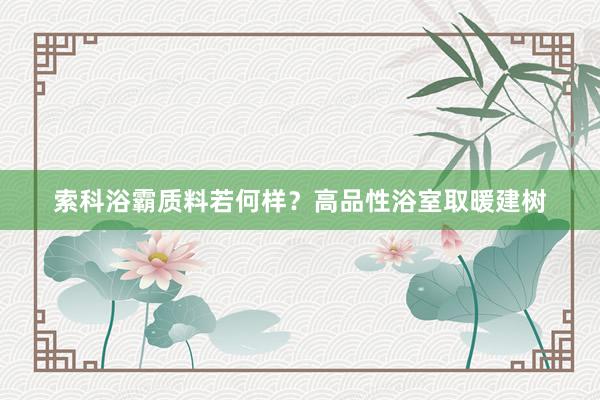 索科浴霸质料若何样？高品性浴室取暖建树