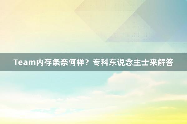 Team内存条奈何样？专科东说念主士来解答